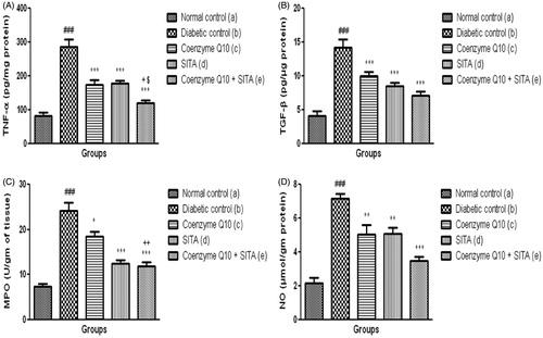 Figure 5. Effect of coenzyme Q10, sitagliptin or combination of both on (A) TNF-α (B) TGF-β (C) MPO and (D) NO. Values are expressed as mean ± SEM; n = 6; a vs. b, ###p < .001; b vs. c, b vs. d and b vs. e, *p < .05, **p < .01, ***p < .001; c vs. e +p < .05, ++p < .01; d vs. e, $p < .05.