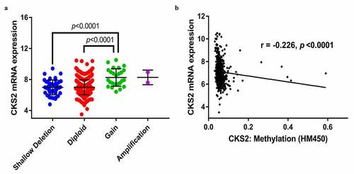 Figure 4. The association between the CKS2 and copy number alteration (CNA), or methylation in LGG. (a) CKS2 mRNA expression in different CNA groups. (b) Correlation analysis between CKS2 mRNA expression and CKS2 DNA methylation