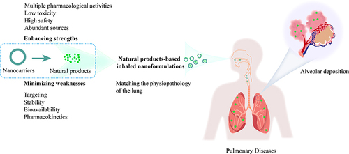 Figure 1 Benefits of natural product-based inhaled nanoformulations in the treatment of pulmonary diseases.
