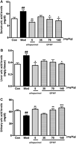 Figure 1.  Effects of methanol extract from Prunus mume fruit (MPMF) on uric acid levels in serum (A), liver (B) and urine (C) in mice with potassium oxonate-induced hyperuremia. Data were expressed as the mean ± S.E.M. ##p < 0.01 vs vehicle-control group (Con); *p < 0.05, **p < 0.01 and ***p < 0.001 vs vehicle with potassium oxonate group (Mod).