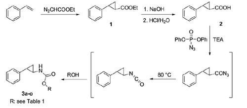 Scheme 1. Three-step synthesis of carbamates 3a–o.