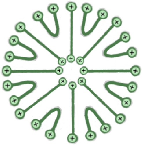 Figure 2 Hypothetical cationic bolaamphiphile nanovesicle structure.