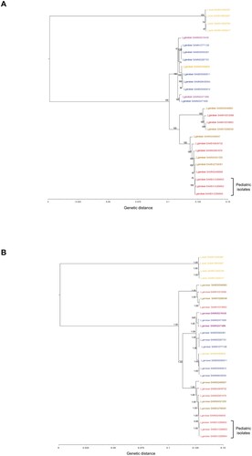 Figure 2. Estimated maximum likelihood (A) and Bayesian (B) phylogenies based on coreSNP genome of the three L. garvieae strains isolated from pediatric patients at Bambino Gesù Pediatric Hospital, IRCCS. Representative 20 L. garvieae and 4 L. lactis strains retrieved by public databases were also included to obtain an alignment of 27 coreSNP genomes 62,990 nucleotides long. The L. lactis and L. garvieae strains were annotated according to collection source (Orange: Dairy products, Blue: Fishes, Brown: Cow, Red: Humans; Other: Purple). BioSample accession numbers defined the strains. Panel (A) reported the ML tree, inferred using iqTree2 under the nucleotide substitution GTR+I+G4 model and 1000 bootstrap replicates. Panel (B) reported the Bayesian tree, performed by BEAST v.1.10.4 setting a chain length of 100 million states under a strict molecular clock model and the GTR+I+G4 substitution model. Bootstrap values and posterior probabilities are reported along the branches of the trees.