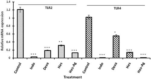 Figure 7. mRNA expression of TLR-2 and TLR-4 represented by bar diagram indicates relative expression of TLR-2 and TLR-4 gene normalized with housekeeping GAPDH gene on y-axis and treatment with Indo (5 mg/kg), Dexa (0.5 mg/kg), HP (25 mg/kg) and GA-AgNPs-HP (1 mg/kg) on x-axis. The data calculated using 2−ΔΔCt indicate significant increase in TLR-2 and TLR-4 expressions in arthritic control as compare to normal control, whereas treatment reduced the expression comparatively. Asterisks indicate the significance difference at *p < .05; **p < .01 and ***p < .001 with respect to control.