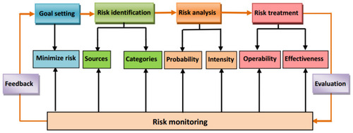 Figure 1 Adaptation of a theoretical framework on risk management for Chinese organizations.