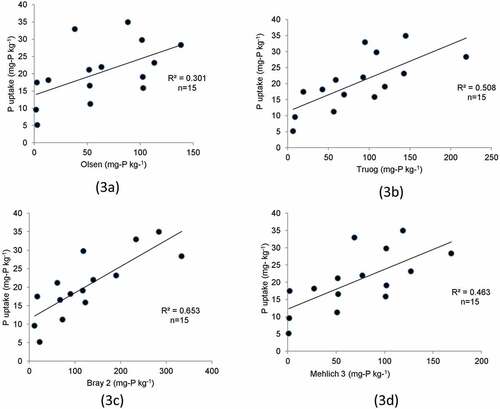 Figure 3. Relationship between P uptake by soybean and Olsen (3a), Truog (3b), Bray 2 (3c) P, and Mehlich (3d). These four methods are used for P-extraction and were investigated to observed maximum P-extraction by Bray 2 method for Vertisols.