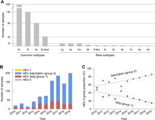 Figure 2. Distribution of samples referred to the national consultant laboratory. Samples depicted by (A) HEV subtypes, (B) year, genotype and HEV-3 group, and (C) year and HEV-3 group proportion (solid and dotted lines show linear regressions and 95% confidence intervals, respectively).