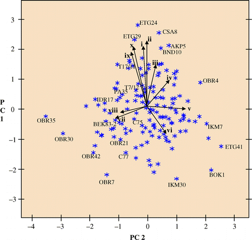 Fig. 1  Scatter plot of cacao accessions on principal component axes 1 and 2 (PC1 and PC3) accounting for 35.3% of total variation. i – cotyledon fresh weight (g), ii – cotyledon dry weight (g), iii – nib weight (g), iv – fruit length (cm), v – cotyledon colour, vi – ridge pair disposition, vii – fruit shape, viii – apex form, ix – cotyledon width (cm), x – cotyledon length (cm).