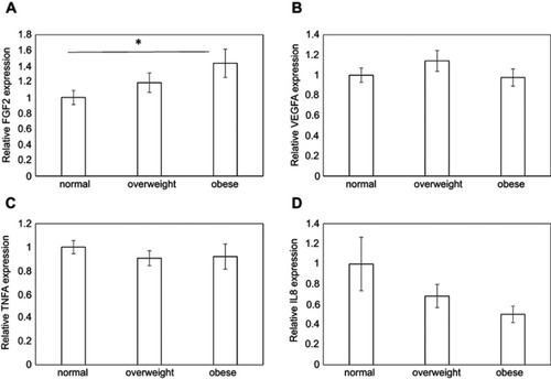 Figure 2 Effect of obesity on the expression of inflammatory cytokines and growth factors in synovial tissue. FGF2 (A), VEGFA (B), TNFA (C), and IL8 (D) expression in normal, overweight, and obese groups.*P<0.05.