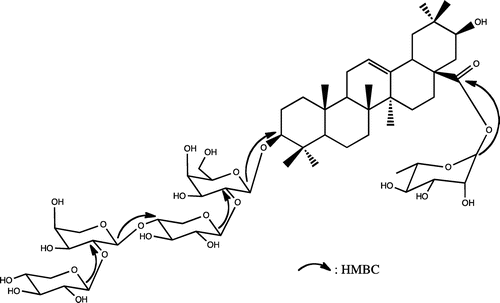 Figure 2. Key HMBC correlations of compound 1.