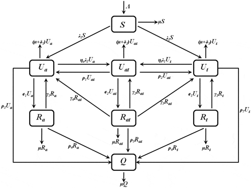 Figure 1. A compartmental representation of the epidemic of alcohol-methamphetamine co-use.