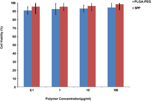 Figure 11 The cell cytotoxicity results of the SPP formulation at different concentrations following exposure of the alveolar basal epithelium A549.