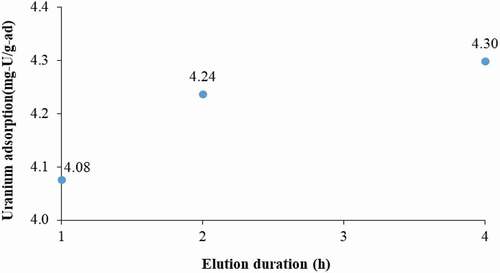 Figure 7. Effect of elution duration on uranium recovery from adsorbent (AN:MAA of 80:20,crosslinking agent of 1 g/100 mL, and H2O2 of 60 mL, soaking time 7 days).