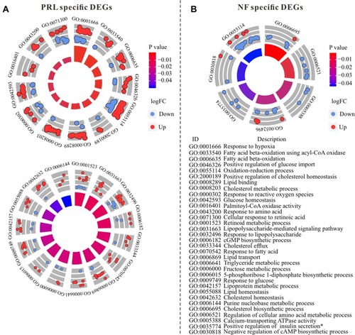 Figure 3 GOCircle of metabolism-related GO terms in PRL-specific DEGs (A) and NF-specific DEGs (B). GOCircle was performed by using GOplot package.Citation19