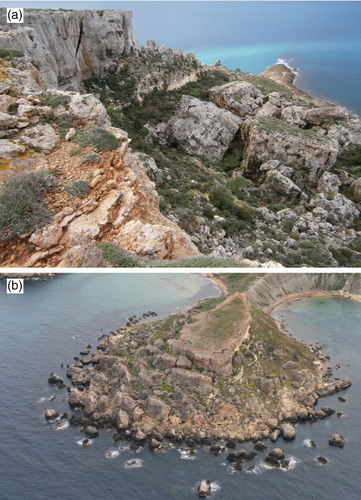 Figure 7. Rock spreads and block slides: (a) Marfa Ridge; (b) Il-Qarraba (Courtesy of Ten. Col. M. Marchetti).