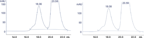 Figure 13 Zoom of SE-HPLC after intense agitation of filgrastim.