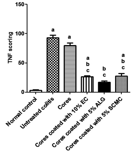 Figure 11 TNF-α scoring of rabbit’s colonic sections of all studied groups using ImageJ analysis following immunohistochemical staining for TNF-α localization.