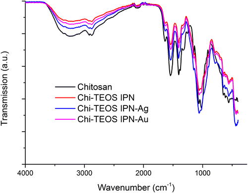 Figure 3. Infrared spectra of chitosan samples before and after cross-linking with siloxane polymer network and metal NPs.