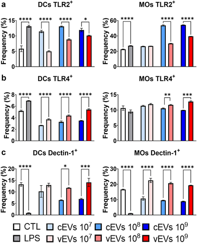 Figure 2. vEVs induce high expression of TLR4 and dectin-1 but low expression of TLR2 in DCs and macrophages. Antigen-presenting cells obtained from the bone marrow cells of C57BL/6 mice, which were differentiated with GM-CSF (20 ng/mL), were challenged with different concentrations of P. brasiliensis control and virulent EVs (107, 108, and 109 EVs/mL) for 48 hours. The cells were then recovered and labelled with fluorochrome-conjugated antibodies. Flow cytometry using FACSLyric and FlowJo software was used to analyse the frequency of DCs (CD11b+CD11c+F4/80−; left) and macrophages (CD11b+CD11c+F4/80+; right) expressing TLR2 (a), TLR4 (b), and dectin-1 (c). The bars represent means ± standard error of triplicates per group (*p < 0.05; **p < 0.01; ***p < 0.001; ****p < 0.0001). As a negative control (CTL), cells received only RPMI medium, while LPS (1 µg/mL) was used as positive control.