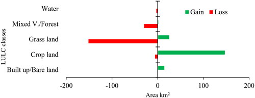 Figure 5. Gains and losses of LULC classes from 1998 to 2022.