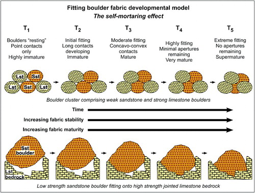 Figure 8. Schematic model of a theoretical sequence of developmental stages of clast interfacial fitting – the self-mortaring effect – from immature point-to-point contacts through to supermature extremely fitted contacts (T1–T5). Two scenarios are presented: the upper shows a boulder cluster comprising weak sandstone and strong limestone boulders; the lower a low-strength sandstone boulder fitting onto high-strength jointed limestone bedrock.