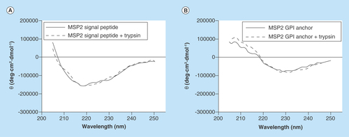 Figure 5.  Circular dichroism analysis of MSP2 (A) signal and (B) GPI anchor peptides, before and after trypsin digestion.