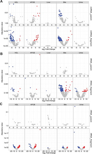 Figure 9. Differential expression analysis at the fragment level identifies differences between SR-BI KO and wild-type mice. Differential expression analysis by DEseq2. Volcano plots demonstrating significant (adjusted p > 0.05) differential (>1.5-absolute fold change) abundances for (a) miRNAs, (b) tDRs and (c) rDRs at the parent and individual fragment levels – red, increased; blue, decreased. HDL WT, N = 7; HDL SR-BI KO N = 7; APOB WT, N = 7, APOB SR-BI KO N = 7; Liver WT, N = 7; Liver SR-BI KO, N = 7; Bile WT, N = 7; Bile SR-BI KO, N = 6; Urine WT, N = 5; Urine SR-BI KO, N = 6.