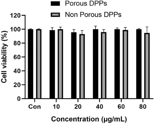 Figure 4. In vitro cytotoxicity of porous and non-porous DPPs at a given concentration (10–80 µg/ml). MCF 7 cells were incubated with porous and non-porous DPPs for 24 h, and viable cells were measured using CCK-8 assay using a plate reader at 450 nm. Data are mean ± SD, n = 3.