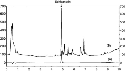 Figure 1. Chromatograms of schizandrin (A) and the SC extract (B) obtained at an UV wavelength of 250 nm.