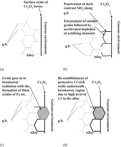 Figure 10. Series of schematic diagrams describing the oxide formation and development during exposure of SS304 and SS316 to temperatures ranging from 750 to 900 °C up to approximately 400 hours showing (a) formation of external oxide at the surface of the alloy, (b) internal oxidation of silicon along grain boundaries (g.b), (c) encasement of smaller grains by SiO2 which acts as a diffusion barrier to chromium to maintain protectiveness of surface oxide with subsequent chemical failure of the isolated grain resulting in breakaway oxidation processes, and (d) the potential re-establishment of a protective oxide underneath the non-protective oxides.