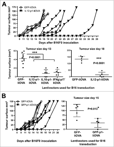 Figure 7. Delivery of PD-L1 silencing microRNA exclusively to B16F0 melanoma cells delays tumor growth. (A and B) To specifically analyse the effects of vaccination on cancer cell growth, B16F0 cells were transduced ex vivo and then injected into recipient mice (n = 5 mice per group). (A.) Top, tumor growth after subcutaneous transfer of B16F0 cells transduced with GFP-IiOVA (solid symbols) or IL12-p1-IiOVA (open symbols) lentivectors, as indicated. Below, the same as top, but with individual tumor volumes plotted at the indicated time points; bars indicate the mean ± S.D. Pooled data from 2 control experiments are included. (B) Left, tumor growth induced by B16F0 cells previously transduced ex vivo with the lentivectors GFP-IiOVA (solid symbols) and GFP-p1-IiOVA (open symbols) and subcutaneously injected into mice 4 days later. On the right, the same individual tumor volumes plotted at the indicated time points; bars indicate the mean ± S.D. Relevant statistical comparisons are shown within the graphs. Tumor sizes and survival between groups were compared with the non-parametric Kruskal-Wallis test; duplicate experiments were performed with similar results achieved; * P < 0.05, ** P < 0.01, *** P < 0.001.