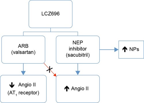 Figure 3 Schematic of action mechanism of NEP (sacubitril) and ARB (valsartan) inhibitors in heart failure.