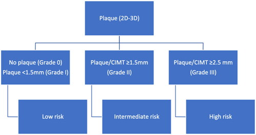 Figure 1. Stepwise CVD risk stratification pathway using plaque grading by 2D/3D ultrasound (from reference Citation13].