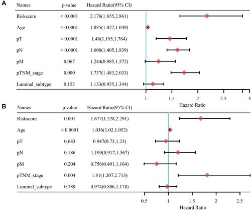 Figure 8 The RiskScore is an independent prognostic factor for breast cancer. (A) Univariate cox regression analysis of RiskScore and Clinicopathological Features. (B) Multivariate cox regression analysis of RiskScore and Clinicopathological Features.