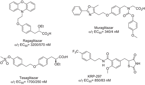 Figure 1.  PPARα/γ dual agonists.
