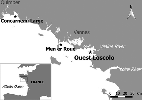 Figure 1. Map of the French Phytoplankton Monitoring Network sampling sites in the part of the Atlantic Ocean where Pseudo-nitzschia plurisecta was observed. In the bottom left-hand corner, the black square shows the site at the scale of the whole France. On the large-scale map, the site ‘Ouest Loscolo’ close to the Vilaine Estuary is indicated by the bold black star. The other sites ‘Concarneau Large’ and ‘Men er Roué’ where P. plurisecta was found in 2009 and 2016, respectively, are indicated by small black stars.