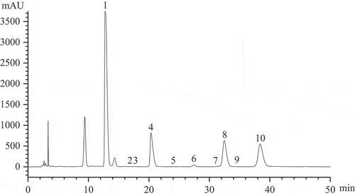 Figure 2. HPLC chromatogram of purified TPS60. (1. Mannose; 2. Ribose; 3. Rhamnose; 4. Glucuronic acid; 5. Galacturonic acid; 6. Glucose; 7. Galactose; 8. Xylose; 9. Arabinose; 10. Fucose).Figura 2. Cromatograma de HPLC de la TPS60 purificada. (1. Manosa; 2. Ribosa; 3. Ramnosa; 4. Ácido glucurónico; 5. Ácido galacturónico; 6. Glucosa; 7. Galactosa; 8. Xilosa; 9. Arabinosa; 10. Fucosa)