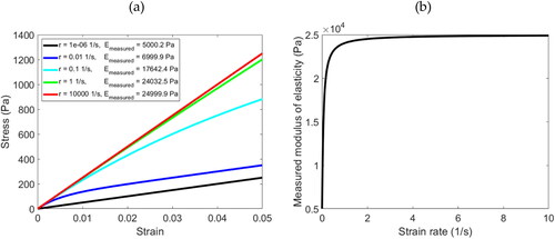 Figure 4. Simulation results associated with Table 1 as an example for illustration: (a) a set of stress-strain curves in the loading process simulated using EquationEq. (2)(2) σloading(ε)=E1ε+E1r(τC−τR)(1−e−εr·τR)(2) for the material No.1; (b) the relationship between the measured modulus of elasticity and the strain rate simulated using EquationEq. (3)(3) Emeasured(ε′)=σloading(ε′)−σloading(εt=0)ε′−εt=0=σloading(ε′)ε′=E1+E1r(τC−τR)(1−e−ε′r·τR)ε′(3) for that material.