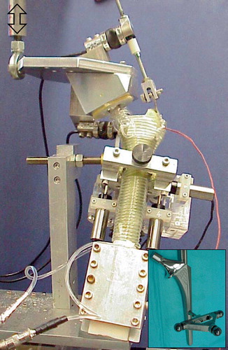 Figure 2. Fatigue loading system. Loads representative of stair climbing were applied to the femoral head and greater trochanter. An array of LVDTs, attached to the cortex, monitored the position of a triad of spheres, which were attached to the femoral stem (inset) via a portal through the cortex and cement mantle. During testing, physiological temperature was maintained by wrapping the bone with a heated water circuit. Hydration was preserved by covering the bone with wax film.