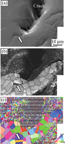 Figure 13. Microstructures in the specimen ③. (a) SEM image, (b) IQ map, and (c) IPF map.