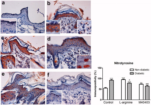 Figure 5. Immunohistochemical staining for 3-nitrotyrosine in the skin of non-diabetic control (a), diabetic untreated (b), non-diabetic L-arginine-treated (c), diabetic L-arginine-treated (d), non-diabetic M40403-treated (e) and diabetic M40403-treated (f) rats. Data obtained after quantitative evaluation of immunohistochemistry images represent the mean ± SEM. *Comparison with non-diabetic untreated control, **p < .01; ***p < .001. #Comparison with diabetic untreated control, #p < .05, ###p < .001. Magnification: 40× orig.; insets 63×.
