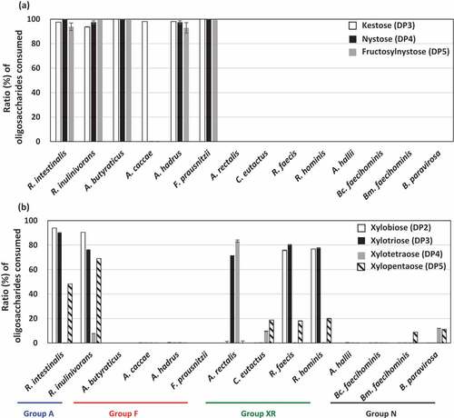 Figure 3. Ratio of each oligosaccharide consumed (%) after metabolism of FOSs (a) and XOSs (b) in butyrate producers. Ratios of oligosaccharides consumed were measured in culture supernatants of YCFA broth supplemented with 0.5% (w/v) FOSs (a) or 0.5% (w/v) XOSs (b) after incubation for 72 h. Kestose, nystose, and fructosylnystose were the major components of FOSs (>95% components in total), whereas xylobiose, xylotriose, xylotetraose, and xylopentaose were the major components of XOSs (>90% components in total). Bars and error bars indicate means and standard deviations from triplicates, respectively. Bars are absent when the strains did not metabolize the oligosaccharides. Groups A, F, XR, and N correspond to the metabolic groups shown in Figure 1. Bc. faecihominis, Butyricicoccus faecihominis; Bm. faecihominis, Butyricimonas faecihominis.