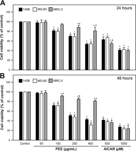 Figure 1 PEE reduced cell viability of 143B and MG-63 cells. Viability of cells treated with serial concentrations of PEE (50, 100, 200, and 400 μg/mL) and AICAR (500 and 1,000 μM) for 24 hours (A) or 48 hours (B) was determined.