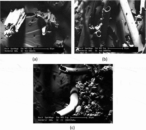 Figure 3. SEM micrograph of fractured bending test specimen of a) kenaf, b) kapok and c) kenaf & kapok hybrid composite.