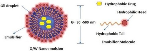 Figure 2 A schematic illustration of oil (O) in water (W) nanoemulsion.Notes: Reproduced from Agnihotri N, Soni GC, Chanchal DK, Tiwari S. A Scientific Review On Nanoemulsion For Targeting Drug Delivery System. Int J Life Sci Rev. 2019;5(2):16-29Citation326