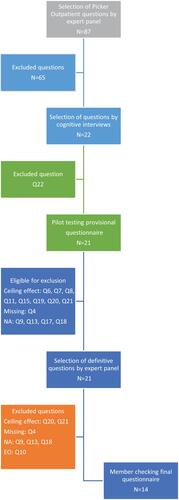 Figure 2 Flowchart of excluded questions.