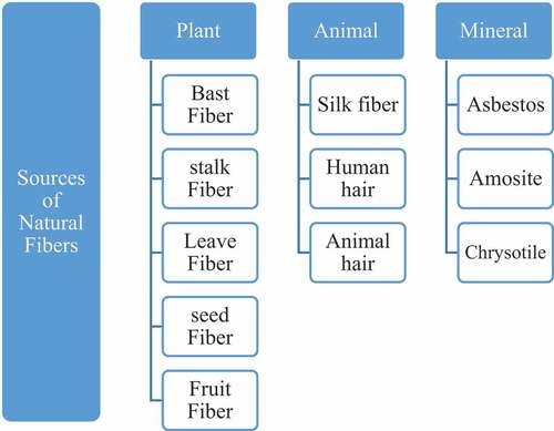 Figure 2. Sources of natural fibers.