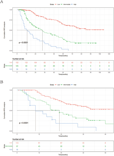 Figure 6 Kaplan–Meier curves for the low-risk group, intermediate-risk group, and high-risk group in the training and validation cohort. (A) training cohort; (B) validation cohort.