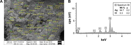 Figure 4 Morphological study and elemental composition of prepared AgNPs.Notes: (A) FE-SEM images of synthesized AgNPs using aerial part extract of Artemisia marschalliana Sprengel. (B) EDS spectrum of the prepared AgNPs. A strong peak at 3 keV confirms the existence of Ag.Abbreviations: FE-SEM, field-emission scanning electron microscopy; AgNPs, silver nanoparticles; EDS, energy-dispersive spectroscopy analysis; cps, counts per second; EHT, extra high tension; WD, working distance; Mag, magnification.