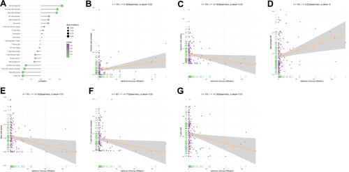 Figure 10 (A) The correlation of risk score and tumor infiltrating immune cells. (B) The correlation of risk score and dendritic cells activated. (C) The correlation of risk score and dendritic cells resting. (D) The correlation of risk score and Macrophages M0.(E) The correlation of risk score and Mast cells resting. (F) The correlation of risk score and T cells CD4 memory activated. (G) The correlation of risk score and T cells CD8.